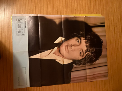SUOSIKKI JULISTE BARRY RYAN HYVÄ
