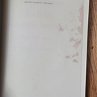 Cormac McCarthy - Kaikki kauniit hevoset - pikkukuva 4