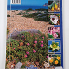 Marina Clauser : The flowers of Crete - pikkukuva 2