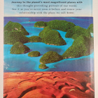 Lonely Planet's beautiful world - pikkukuva 2