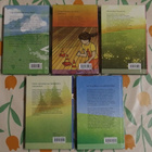 Anneli Kanto: Futistytöt 1-5 - pikkukuva 2