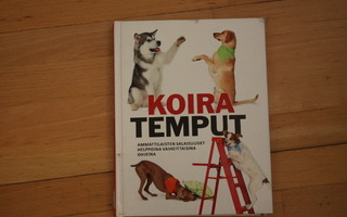 Kyra Sundance Koiratemput Ammattilaisten salaisuudet help #1