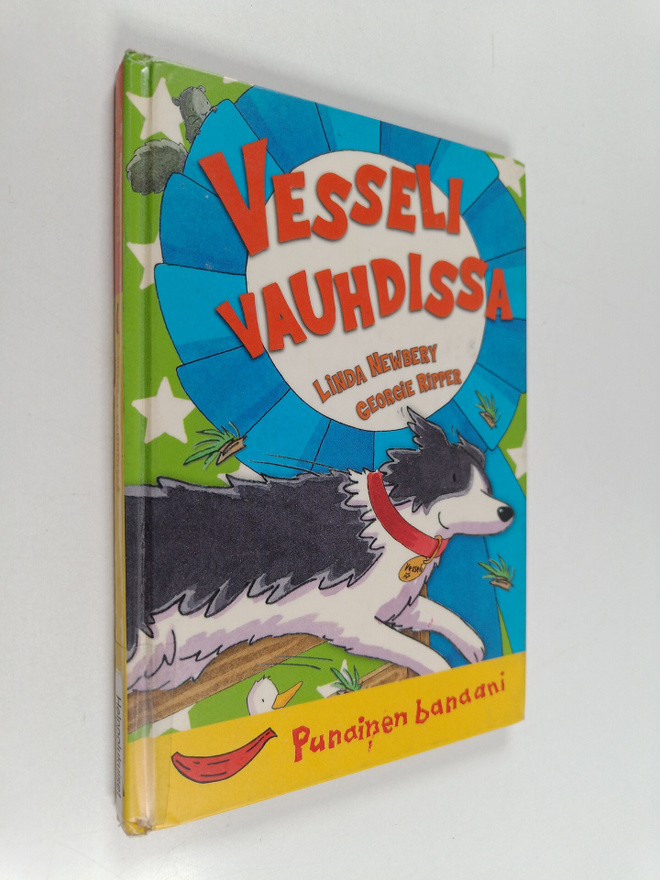 Linda Newbery : Vesseli vauhdissa