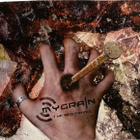 CDr MyGrain - The Red Frame CROWNSHIFT Tommy Tuovinen - pikkukuva 1