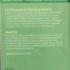 Lääkäriromaani: Morsiameksi prinssihäihin? / Paripeli - pikkukuva 2