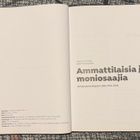 AMMATTILAISIA JA MONIOSAAJIA 2016 - pikkukuva 2