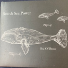 British Sea Power: Sea of Brass cd 2015 - pikkukuva 1