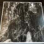 Aethyrick ”Solstice Cycle” LP 2019 - pikkukuva 3