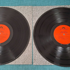 DEEP PURPLE Nobody's Perfect 855-897-2 1988 Germany - pikkukuva 4