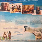 VIIMEINEN LUOLAMIES Blu-ray AO - the Last Neanderthal - pikkukuva 2