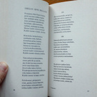 Francois Villon - Testamentti (täydennetty painos) - pikkukuva 3