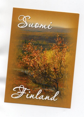 °°RUSKAMAISEMA°° - KORTTI / (T.Tielinen)