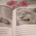 Huominen Bradley Trevor Greive - pikkukuva 4