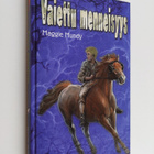 Maggie Mundy : Vaiettu menneisyys - pikkukuva 1