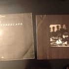 ERASURE / WONDERLAND - LP - pikkukuva 2