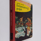 Heikki Jylhä : Delawaren pojat : intiaanikertomus - pikkukuva 1