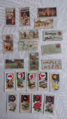 Boy Scouts + Boy Scout & Girl Guide - 21 tupakkakorttia