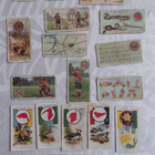 Boy Scouts + Boy Scout & Girl Guide - 21 tupakkakorttia - pikkukuva 1