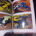 Lötters : Poison frogs - Myrkylliset Sammakot ( SIS POSTIKUL - pikkukuva 5
