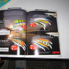 RAPALA OPAS 2010 - pikkukuva 2