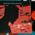 RICHIE HAVENS ~ The Great Blind Degree ~ LP - pikkukuva 1