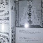 Tantra - The Indian Cult of Ecstacy - Philip Rawson - pikkukuva 3