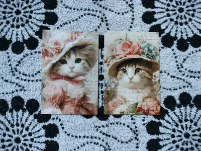 ~Kissa kortti~ 2kpl