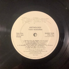 TODD RUNDGREN :” Anthology”, 2 lp - pikkukuva 3