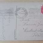 Leksand, leidit kansanpuvuissa poimimassa kukkia, p. 1909 - pikkukuva 2