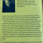 PAUL AUSTER: SATTUMUKSIA BROOKLYNISSÄ - pikkukuva 2