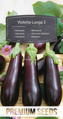 Munakoiso 'Violetta lunga 3' - pelletoidut siemenet #