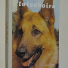T.A. Engström : Toivekoira - Taikajousi 2.p 1978 - pikkukuva 1