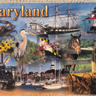 Marylandin osavaltion nähtävyyksiä - pikkukuva 1
