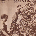 Maatalous - Nainen, 1954, 1955 ja 1956. - pikkukuva 3