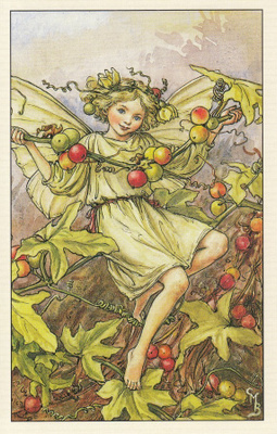 Cicely Mary Barker: Kukkakeijut punakoiranköynnös