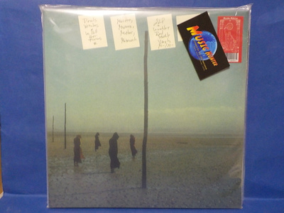 DEVILS WITCHES - IN ALL HER FORM M-/M- GATEFOLD 2LP