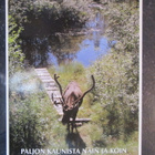 KULKEMATON PORO LOMAMATKALTA PALATTAESSA - pikkukuva 1