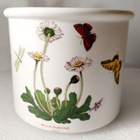 Vintage Portmeirion 'Botanic garden' keramiikka-astia! - pikkukuva 1