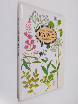 Koko perheen kasvio