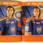 Tappara Nimmarivihko 2018-19 - pikkukuva 3