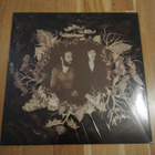 PRETTY LIGHTNING : There are witches in the woods -LP - pikkukuva 1