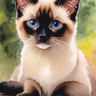 Kissa-kortti - pikkukuva 1