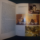 Jeremy Angel: CAT`S KINGDOM (1985) Sis.postikulut - pikkukuva 3