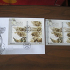 Ukraina - FDC + pienoisarkki (hologrammi) - pikkukuva 1