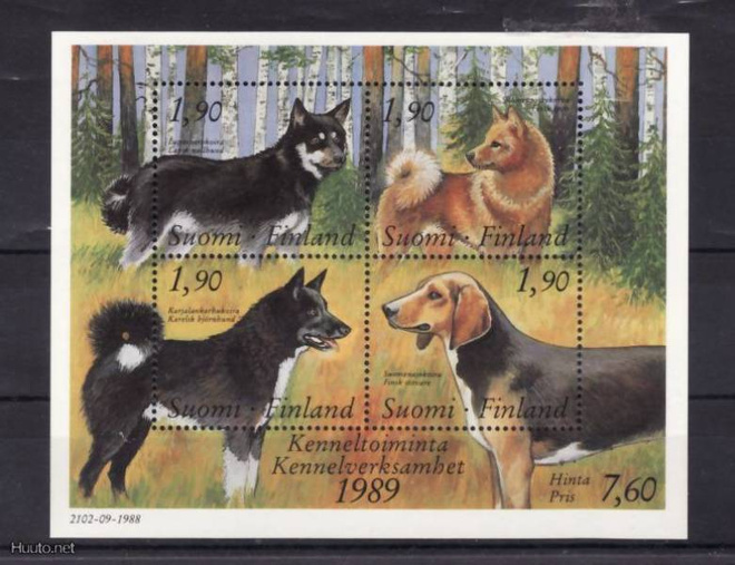Suomi v 1989, KENNELTOIMINTA, postituore blokki