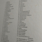 Aro: puutyö piirustuksia 1 - pikkukuva 2