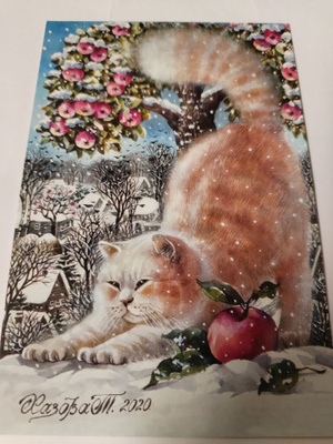 Kissa kortti, kulkematon.
