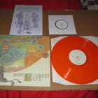 Tasavallan Presidentti LP Lambert Land v,2013 MINT- - pikkukuva 1