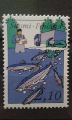 1991 kalastus**