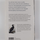 Anni Kytömäki : Mirabilis - pikkukuva 2